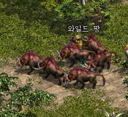 사냥터 이미지